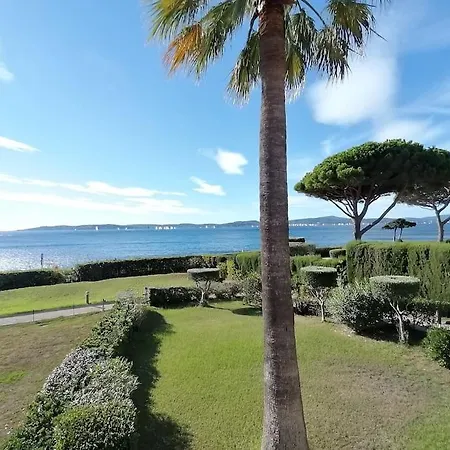 Etoile D'azur *