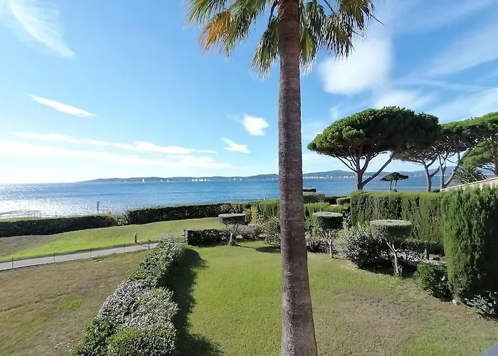 Etoile D'azur *